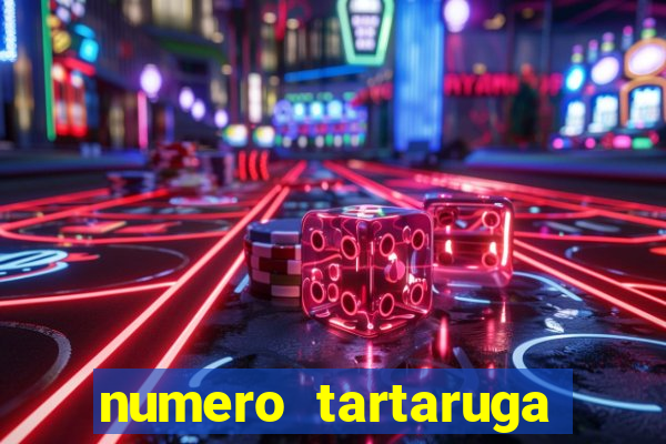 numero tartaruga jogo do bicho